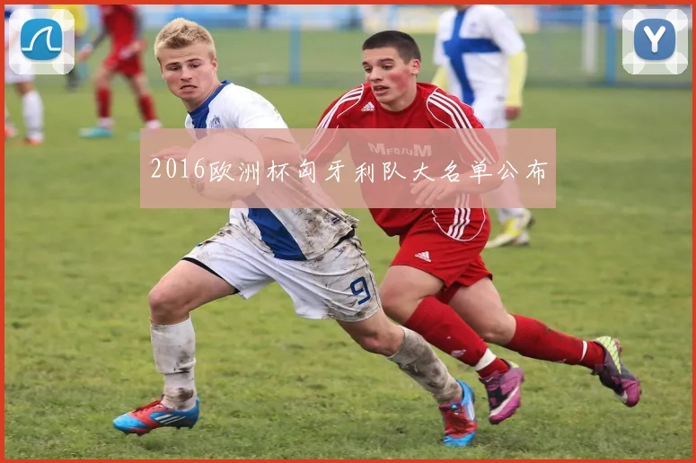 2016欧洲杯匈牙利队大名单公布