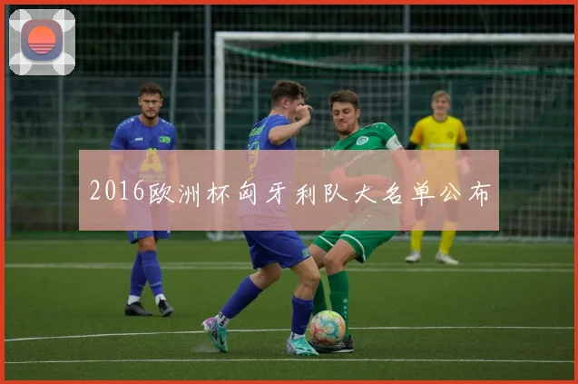 2016欧洲杯匈牙利队大名单公布