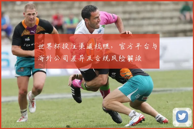 世界杯投注渠道梳理，官方平台与海外公司差异及合规风险解读