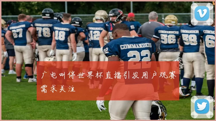 广电叫停世界杯直播引发用户观赛需求关注