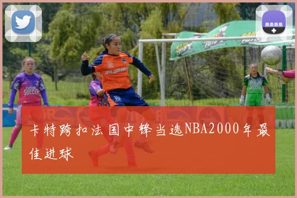 卡特跨扣法国中锋当选NBA2000年最佳进球